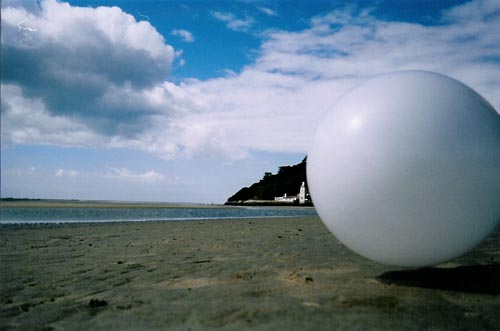 Rover on Beach